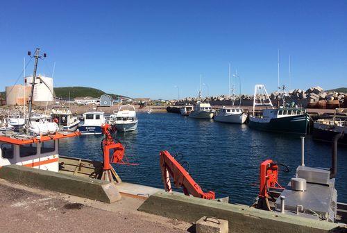 Iconographie - Le port de Miquelon