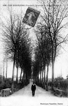 Iconographie - Avenue du Petit-Bourg