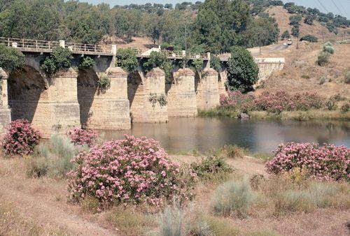 Iconographie - Laurier rose - Rio Rivera de Huelva - Pont des lauriers roses