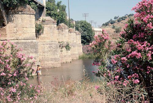 Iconographie - Laurier rose - Rio Rivera de Huelva - Pont des lauriers roses