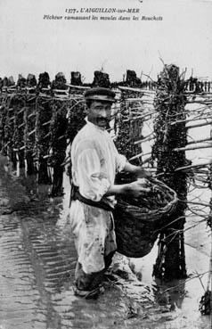 Iconographie - Pêcheurs ramassant des moules dans les bouchots