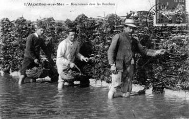Iconographie - Boucholeurs dans les bouchots