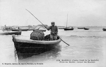 Iconographie - Pêche des moules - Retour des bouchots