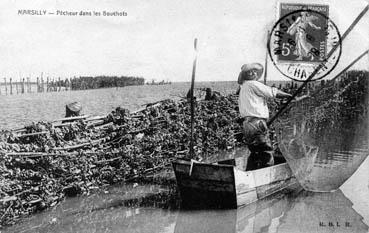 Iconographie - Pêcheurs dans les bouchots