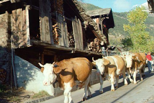 Iconographie - Ausserberg - Valais - Suisse