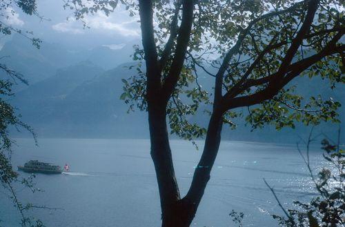 Iconographie - Lac des Quatre-Cantons - Urnersee