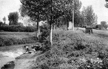 Iconographie - Le Marais Poitevin à Maillezais