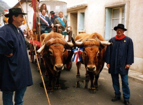 Iconographie - Un char avec des bœufs en 1995