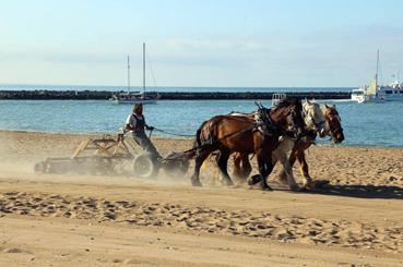 Iconographie - Nettoyage de la plage par Attelage de la Vie