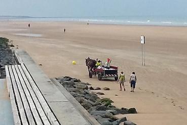 Iconographie - Nettoyage de la plage par Attelage de la Vie