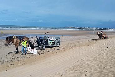 Iconographie - Nettoyage de la plage par Attelage de la Vie