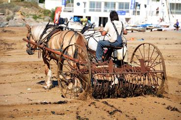 Iconographie - Nettoyage de la plage par Attelage de la Vie