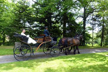 Iconographie - Transport pour un mariage par Attelage de la Vie