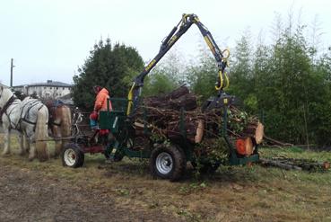 Iconographie - Débardage de bois par Attelage de la Vie