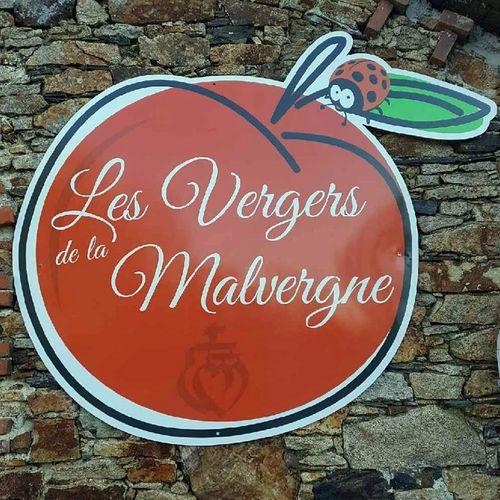 Iconographie - Les vergers de la Malverne