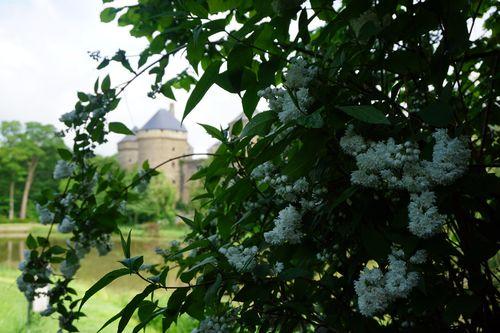 Iconographie - Le château de Lassay