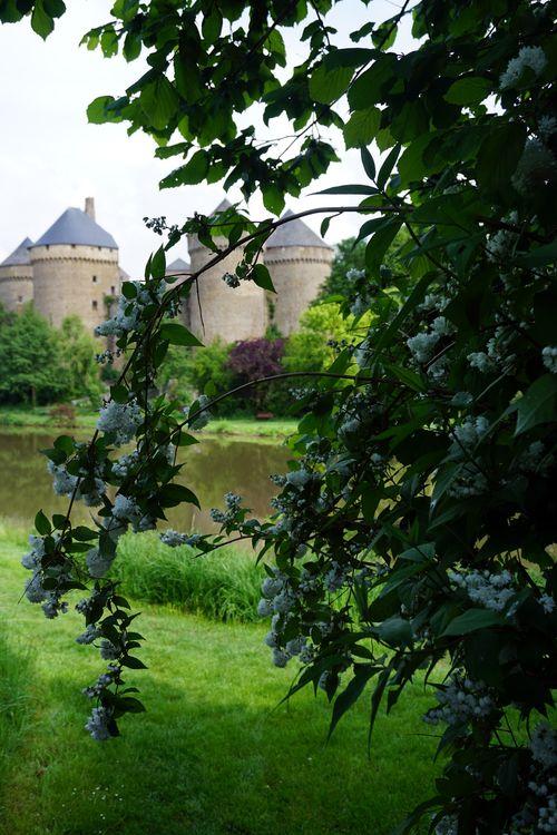 Iconographie - Le château de Lassay