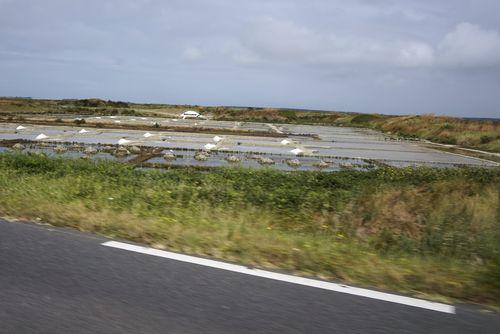 Iconographie - Marais salants