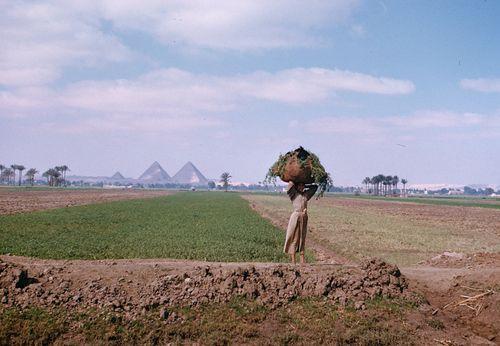 Iconographie - Pyramides - Aux portes du Caire - Giseh