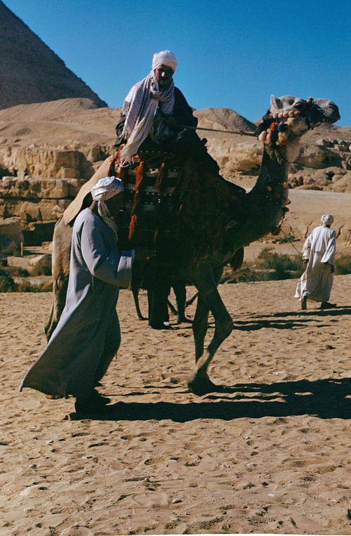 Iconographie - A dos de chameaux