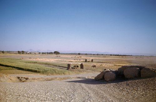 Iconographie - Paysage de la campagne egyptienne