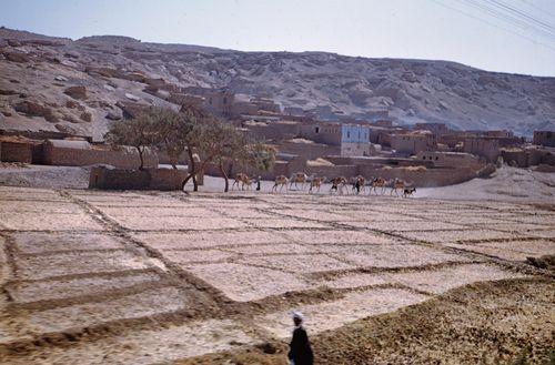 Iconographie - Vue d'ensemble d'un village et de ses cultures environnantes