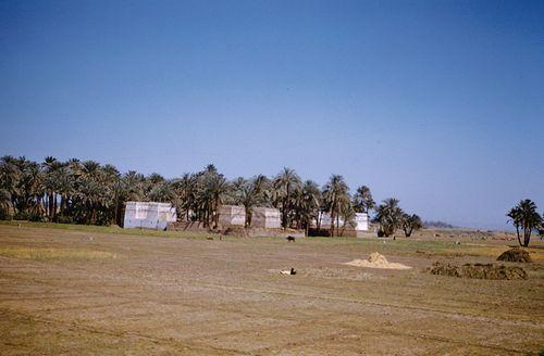 Iconographie - Campagne  et palmeraie - Egypte