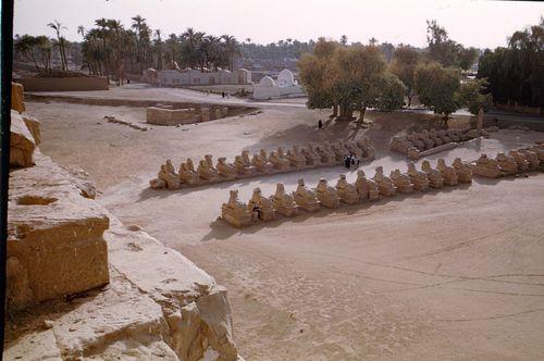 Iconographie - Allée des Béliers - Temple de Karnak