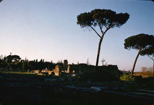 Iconographie - Rome les Forums du Palatin