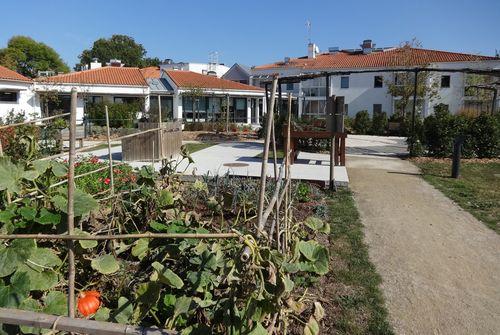 Iconographie - Jardin potager PMR et jardin de soin