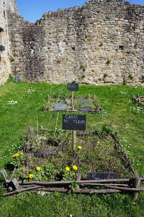 Iconographie - Le jardin du château Sainte-Suzanne