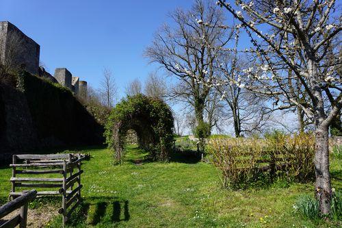 Iconographie - Le jardin du château Sainte-Suzanne