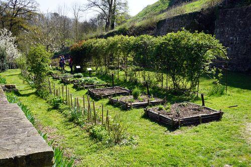 Iconographie - Le jardin du château Sainte-Suzanne