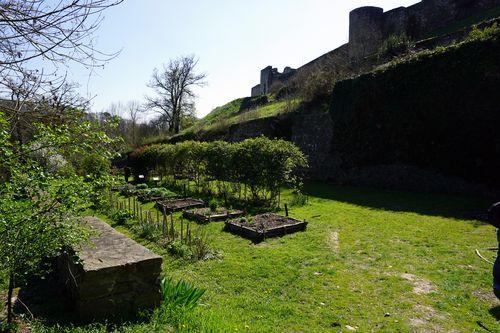 Iconographie - Le jardin du château Sainte-Suzanne