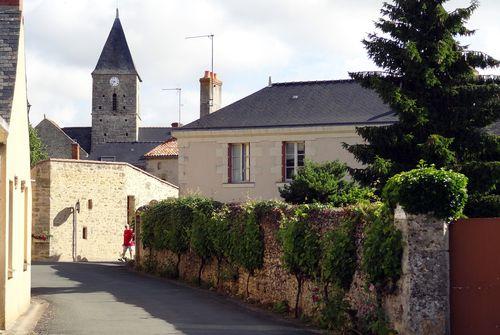 Iconographie - Vigne contre un mur d'enceinte