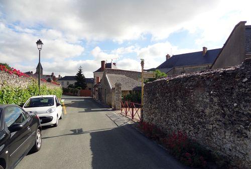 Iconographie - Vigne contre un mur d'enceinte