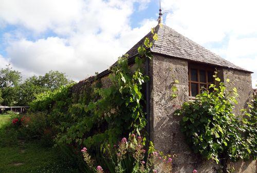 Iconographie - Vigne contre un bâtiment