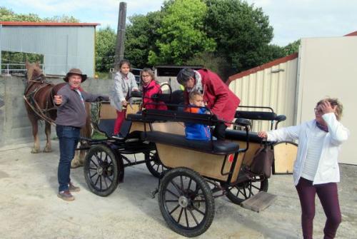 Iconographie - Animation à La Bretonnière - Promenade en quatre roues hippomobile