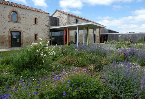 Iconographie - Jardin accueil de la Maison des libellules