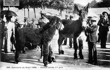 Iconographie - Concours de Niort 1906 - Annesse suitée 1er prix