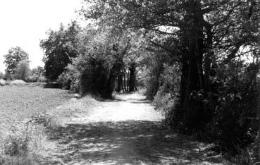 Iconographie - Pont-James - Ancien chemin menant au gué