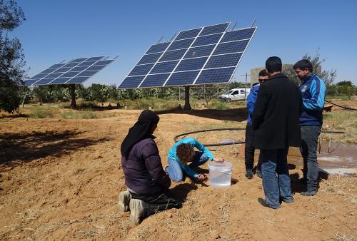 Iconographie - Audit de systèmes de pompage dans les oliveraies en Tunisie