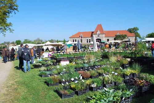 Iconographie - Aux Oudairies vente des productions de Graine d'ID