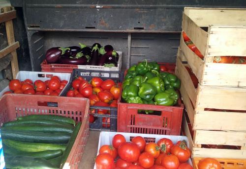 Iconographie - Légumes produits par Graine d'ID