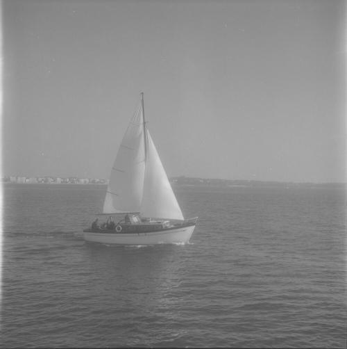 Iconographie - Aliaudi, Fifty-fifty à Cannes