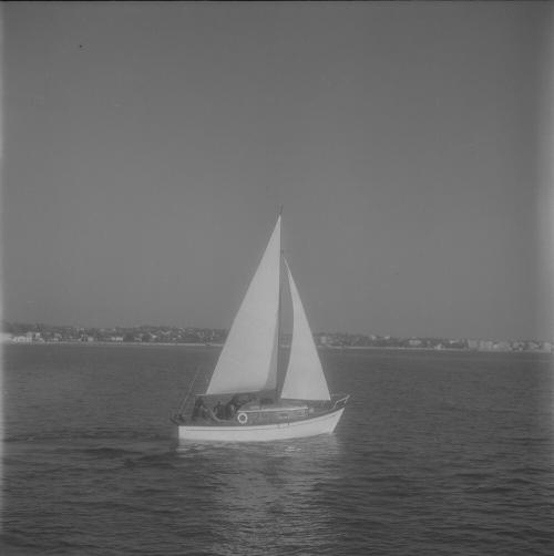 Iconographie - Aliaudi, Fifty-fifty à Cannes
