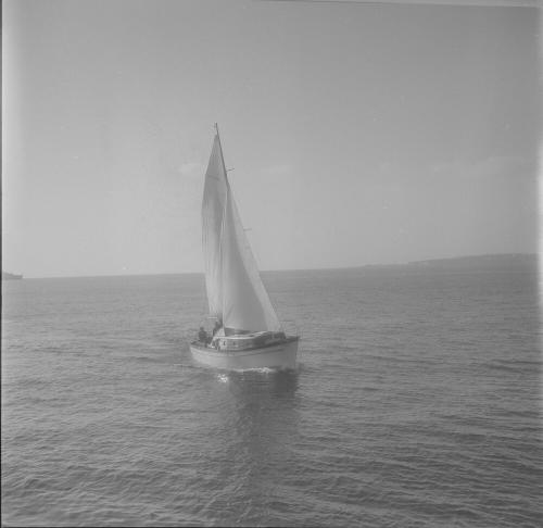 Iconographie - Aliaudi, Fifty-fifty à Cannes