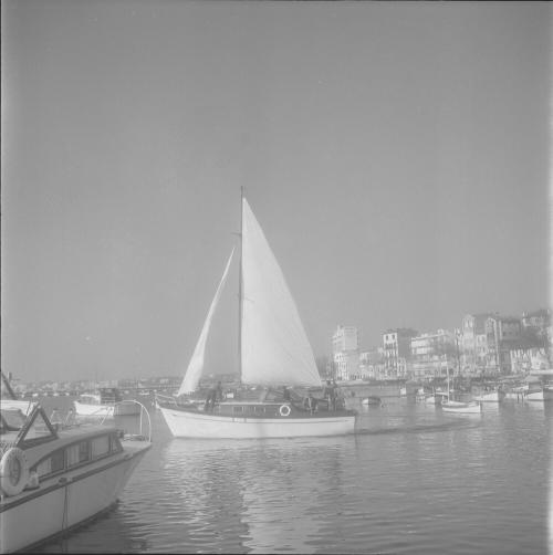 Iconographie - Aliaudi, Fifty-fifty à Cannes