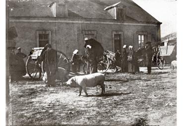 Iconographie - Cour de ferme