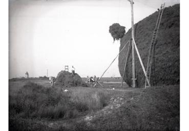 Iconographie - Battages